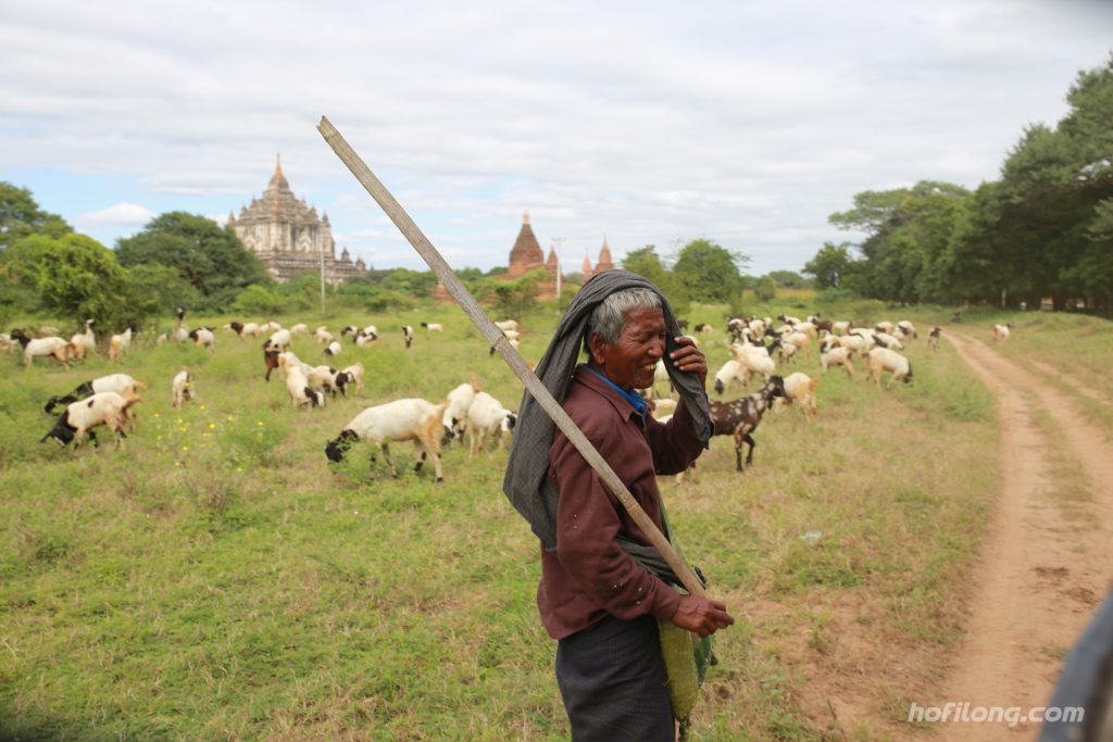 lost in bagan